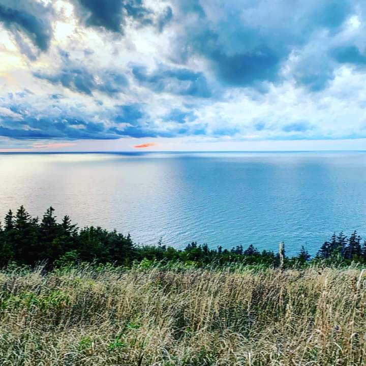 WhatsApp Image 2024-11-22 at 6.50.12 AM (1)